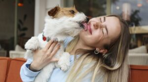 What You Need to Know About Estate Planning for Pets